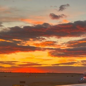 Meet your Posher, Bella